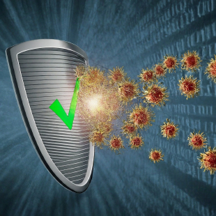Antivirus Protection